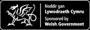 Welsh Government
